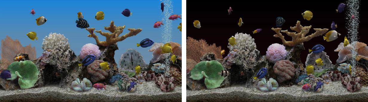 Ocean Aquarium 3d Live Wallpaper Apk Image Num 57